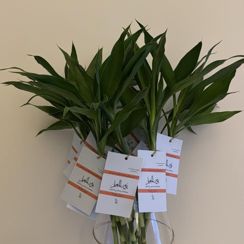 عيديه حيّه! "يحدد السعر حسب الكميه"