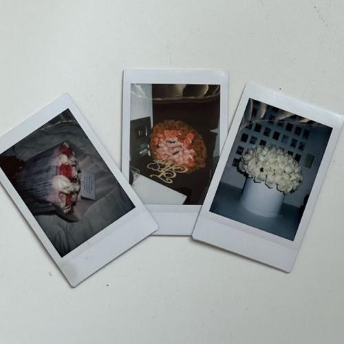Instant picture