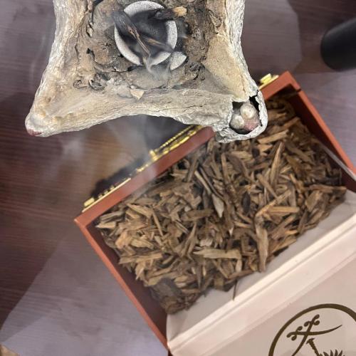 السيسور الفيتنامي الطبيعي