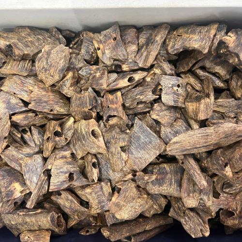 العود الصيني كينام