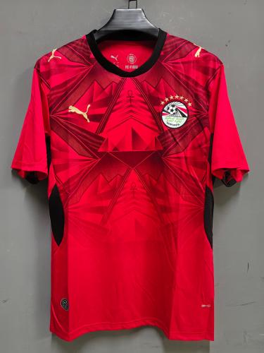 On order - Egypt national team basic T-shirt 2026