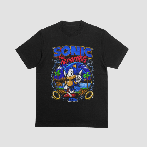 Sonic The Hedgehog Genesis Era