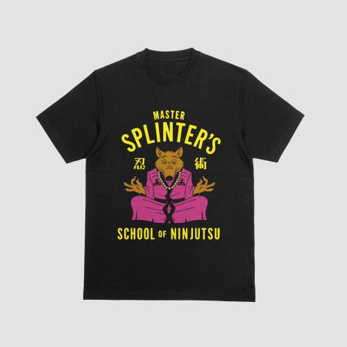Master Splinter School on Ninjitsu