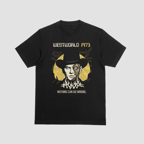 Westworld 1973 The Gunslinger