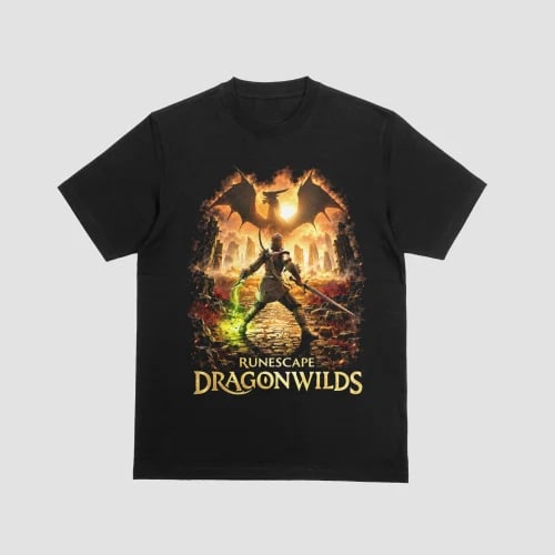 RuneScape Dragonwilds Warrior Facing Flying Fiery...