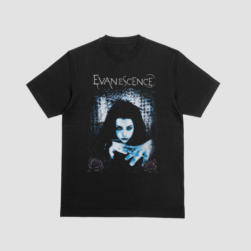 Amy Lee Ethereal Shadows - Evanescence
