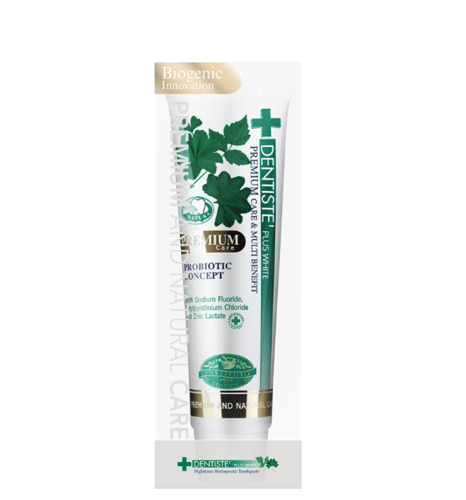 دينتيستي معجون أسنان بريميوم كير DENTISTE