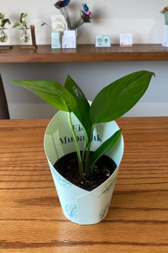 توزيعات العيد - بوتس