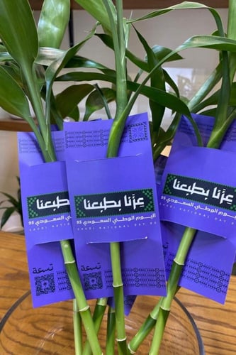 توزيعات بامبو -اليوم الوطني