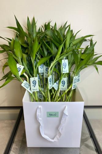 توزيعات بامبو - مع كرت خاص