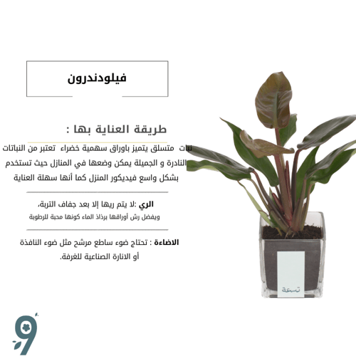 فليودندرون