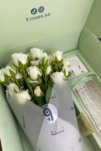 بوكس بيبي روز