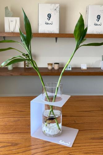 بكج الفايتر