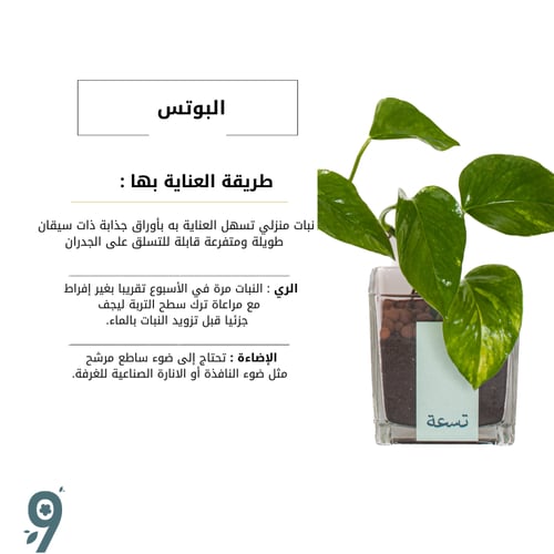 بوتس متسلقه