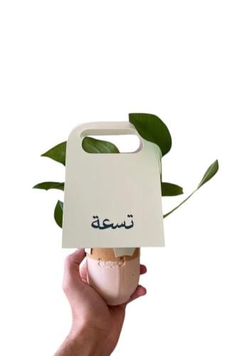 توزيعات بوتس