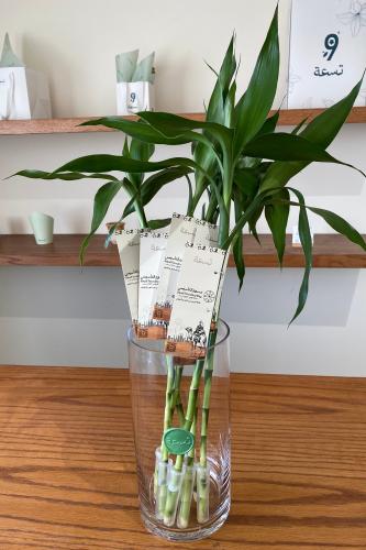 توزيعات بامبو - يوم التأسيس