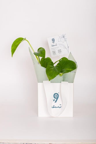 بوتس متسلقه