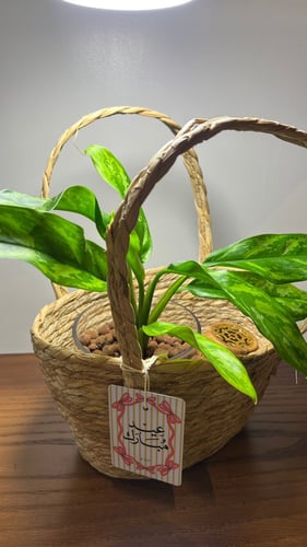 بكج العيد - اجلونيما