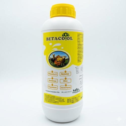 Betacool. BETACOOL 1L