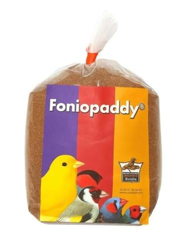 Foniopaddy seeds, FONIOPADDY 1KG