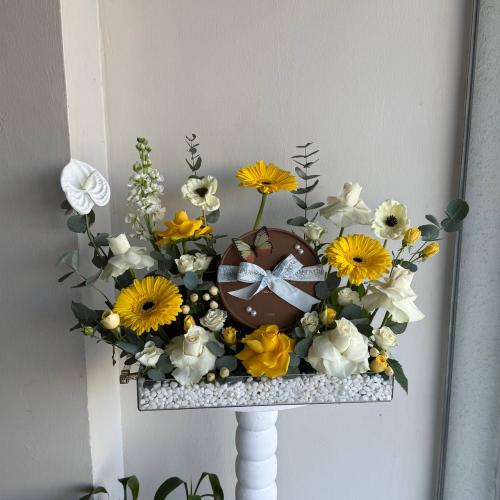 ستاند دوار الشمس مع شوكولاتة هانوفريان