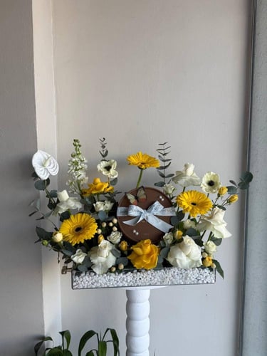 ستاند دوار الشمس مع شوكولاتة هانوفريان