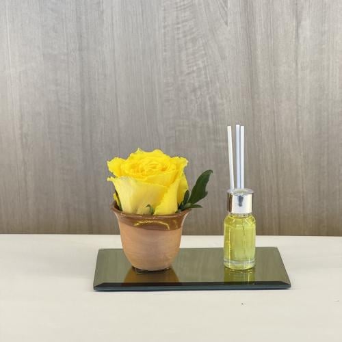 توزيعات الجوري الطبيعي