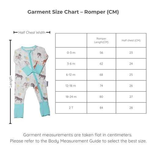 (Dream Wild ( Ballon - بربتوز البالونات بامبو