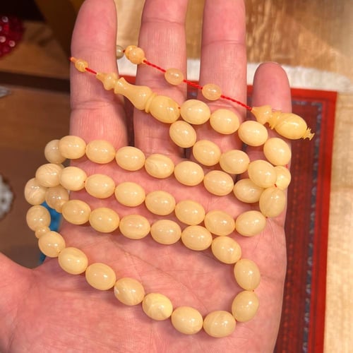 سبحة فاتوران شبيه الأفياش الأمريكي