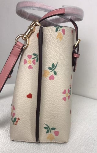 كوتش مولي 25cm