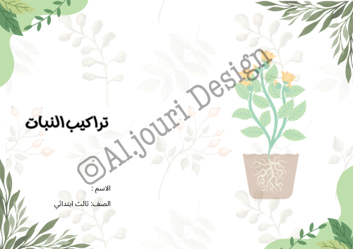 مطوية تراكيب النبات1 رابع
