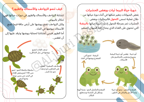 مطوية دورة حياة الحيوانات ثالث