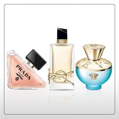 Rose Lady Collection
