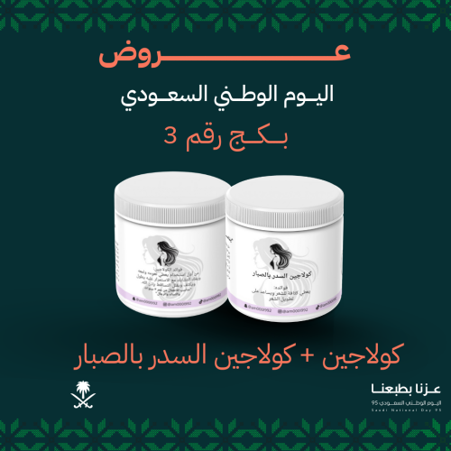 البكج الاقتصادي 3