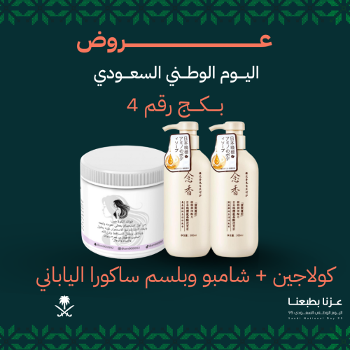 البكج الاقتصادي 4