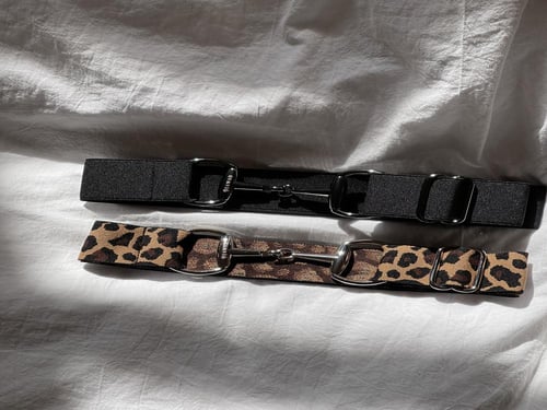 حزام فروسية