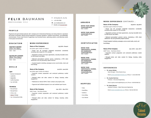 The Professional Profile Resume