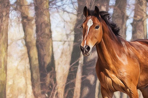 لوحة كانفاس حصان بني في الطبيعة بتصميم هادئ وأنيق