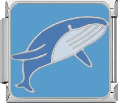 تشارمز فضي حوت