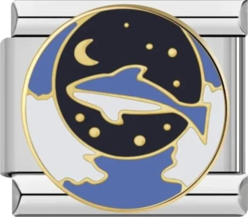 تشارمز فضي دولفين محاط بالنجوم والقمر