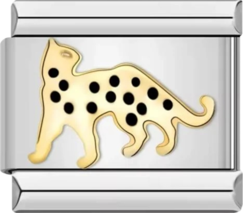 تشارمز فضي نمر