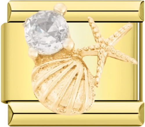 تشارمز ذهبي صدفة ونجم البحر