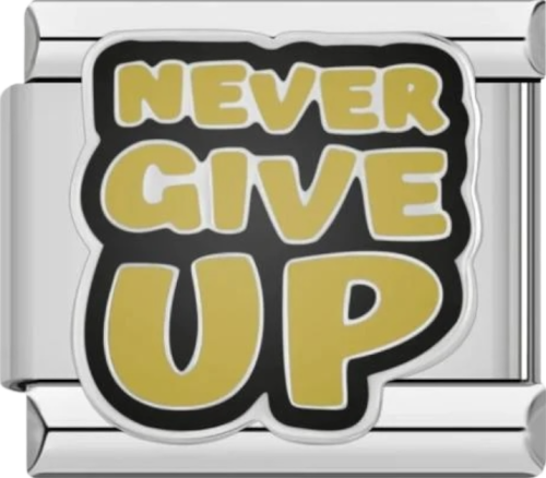 تشارمز فضي (Never Give up)