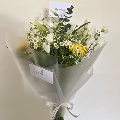 باقة الـ فيّ