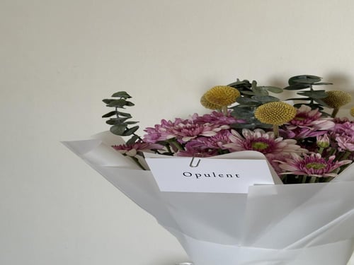 باقة الكريزانتيم البنفسجية