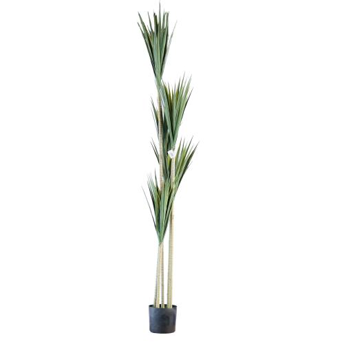 نبتة يوكا صناعية