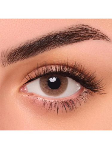 Fresh Eyes Daily Color Contact Lenses Cinnamon