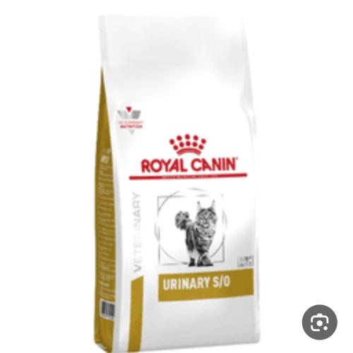 Royal Canin Urinary S/O for cats | Royal Canin Uri...