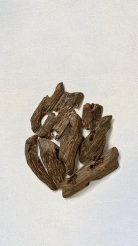 البنتلي