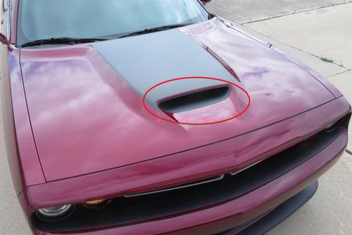 شبك كبوت تشالنجر